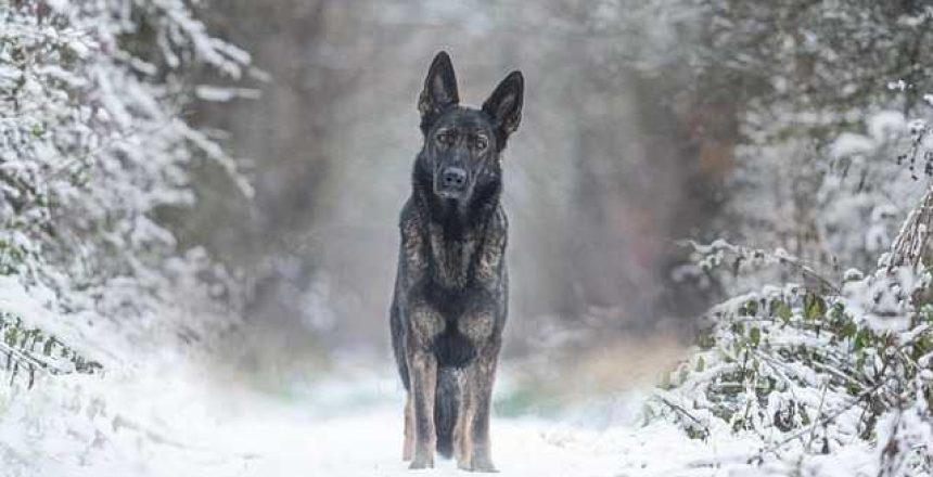 6f681429-a140-4a4a-9c4f-f4bed7576395